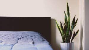 slaapkamer planten