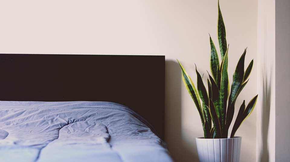 slaapkamer planten